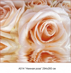 Нежная роза А014