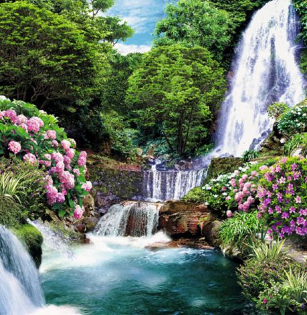 Цветущий водопад